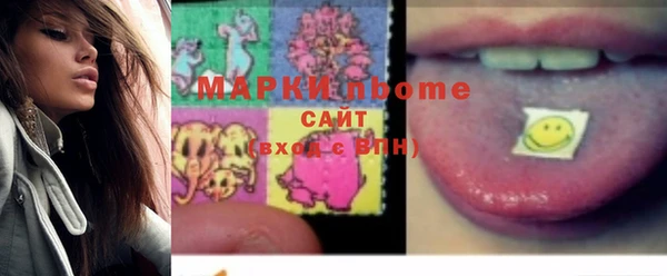 индика Сосновый Бор