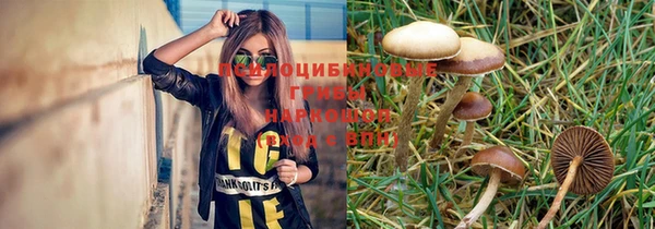 ГАЛЛЮЦИНОГЕННЫЕ ГРИБЫ Магадан