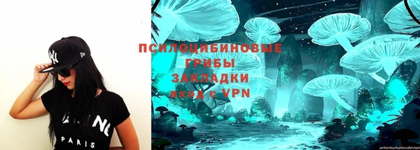 ГАЛЛЮЦИНОГЕННЫЕ ГРИБЫ Магадан