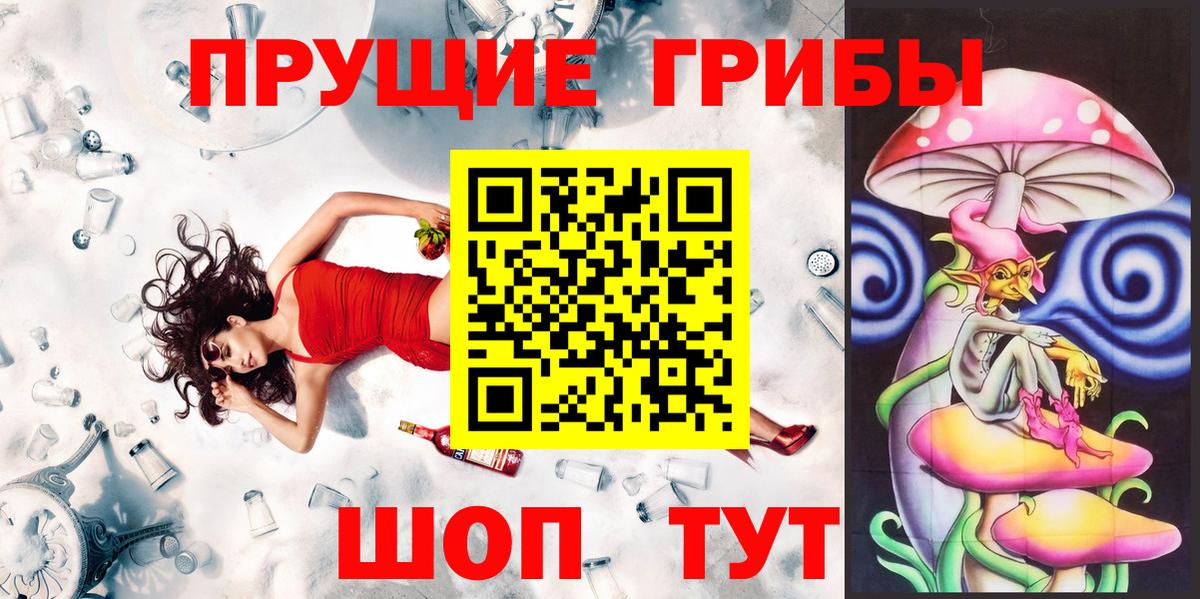 Галлюциногенные грибы Psilocybine cubensis Лесной