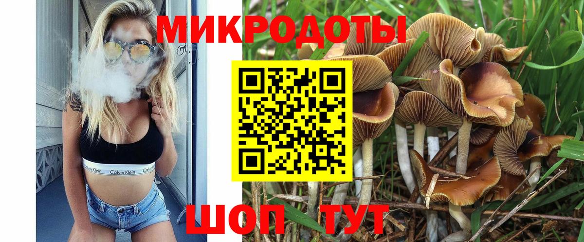 Лесной  Псилоцибиновые грибы ЛСД  купить наркоту  Псилоцибиновые грибы Cubensis  Вход с VPN 
