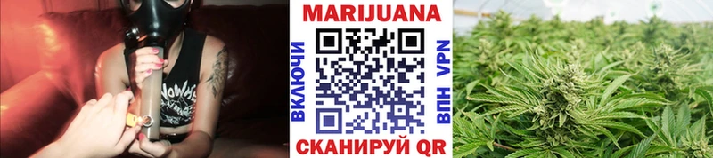 Бошки Шишки индика Лесной